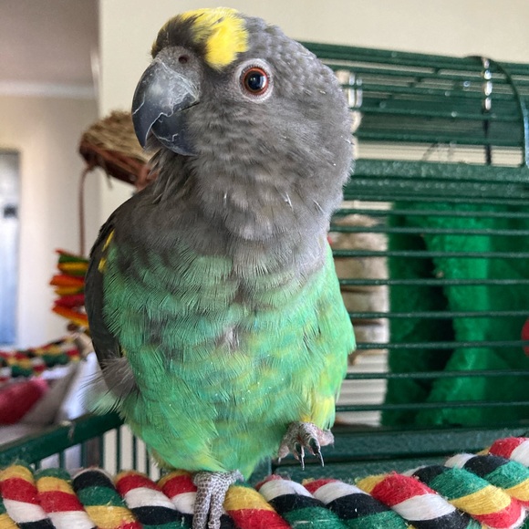 Meet your Posher, Christina - Picture 5 of 5